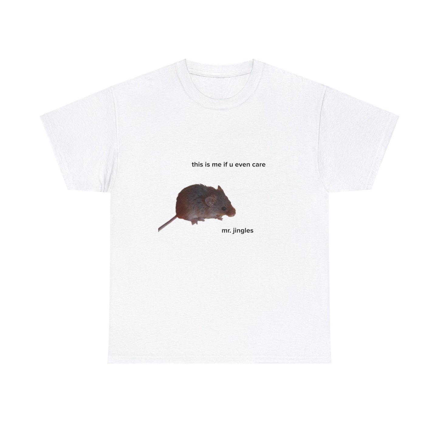 Mr. Jingles This Is Me (TikTok Comment) Tee - US