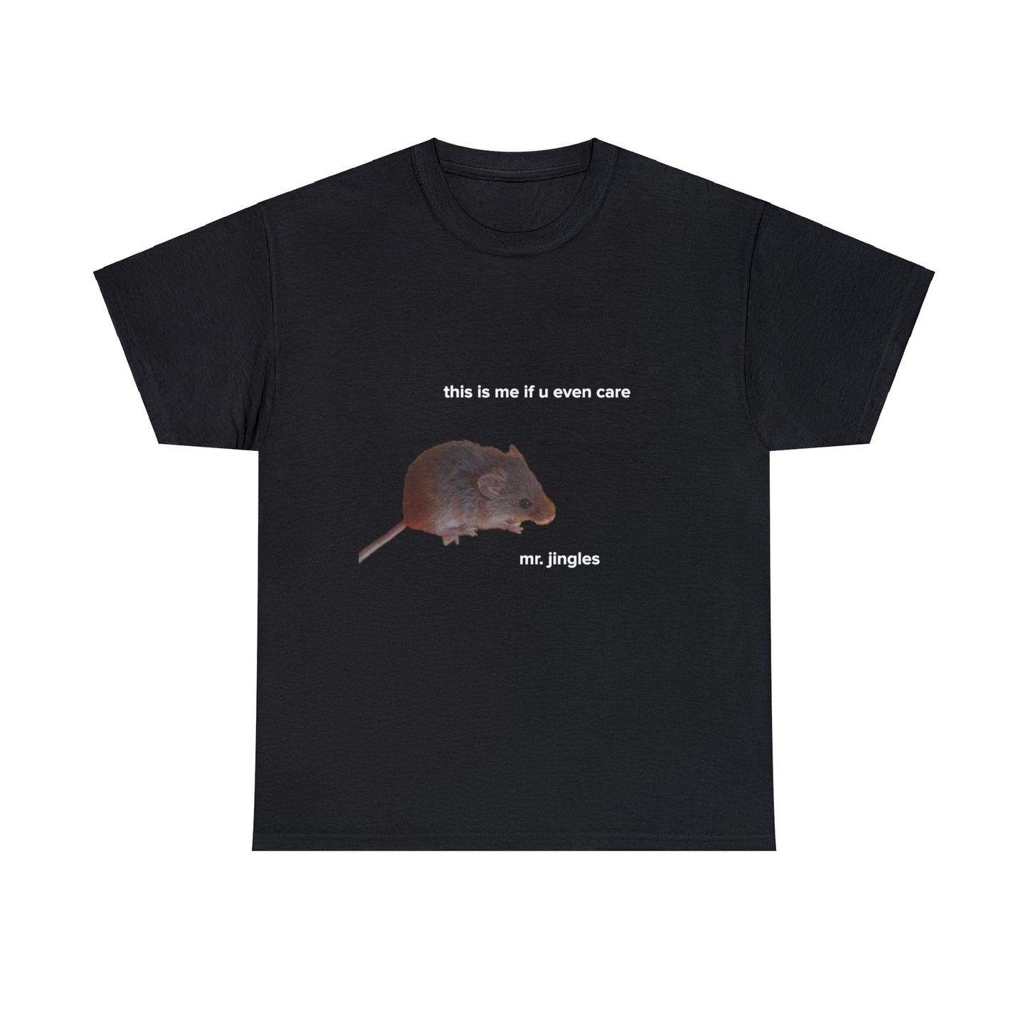 Mr. Jingles This Is Me (TikTok Comment) Tee - US