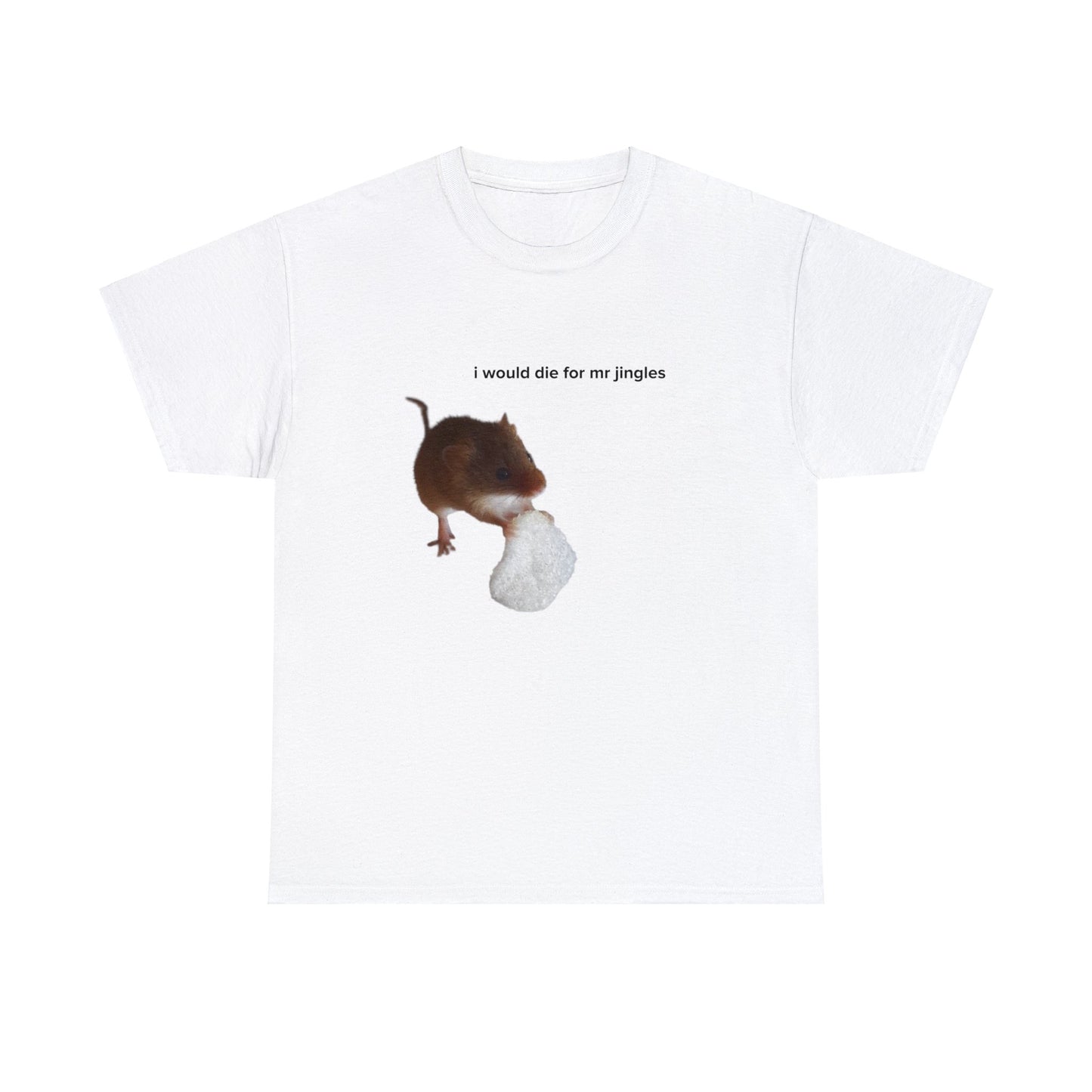 I Would Die For Mr. Jingles (TikTok Comment) Tee - US